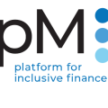 Logo NPM.PNG