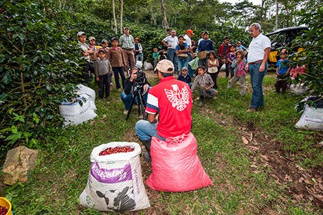 Kaffeegenossenschaft CAPUCAS, Honduras